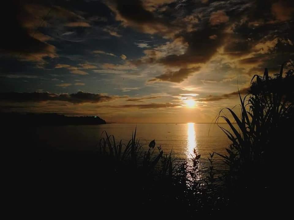 Casa El Tortugo Bed and Breakfast Drakes Bay Εξωτερικό φωτογραφία