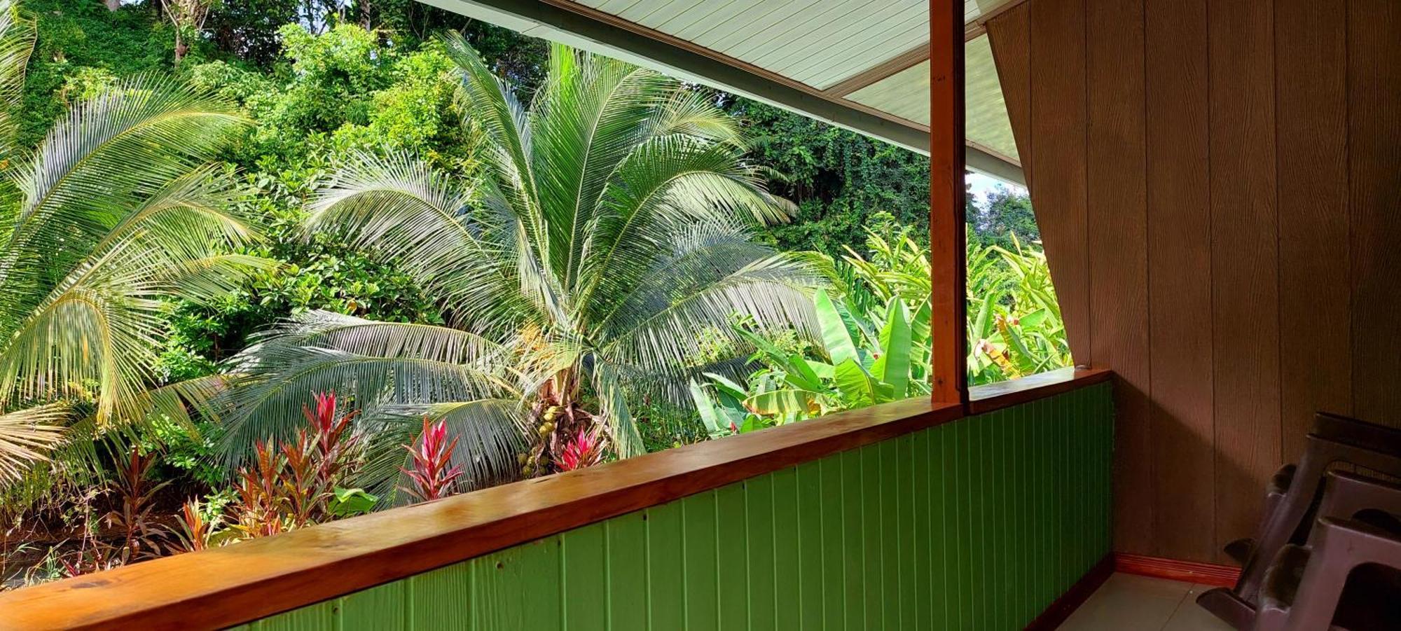Casa El Tortugo Bed and Breakfast Drakes Bay Εξωτερικό φωτογραφία